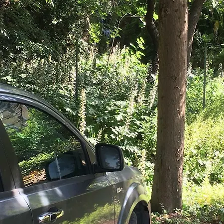 Sweet Prázdninový dům